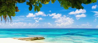 NEW! Seven Seas Grand-Turk