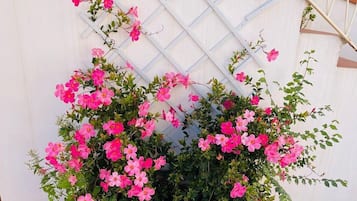 Detalle del exterior