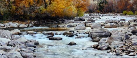 Joki, jonka pohja on kivinen ja jonka ympärillä kasvaa puita, joiden lehvistö on syksyisin väriloistoa.