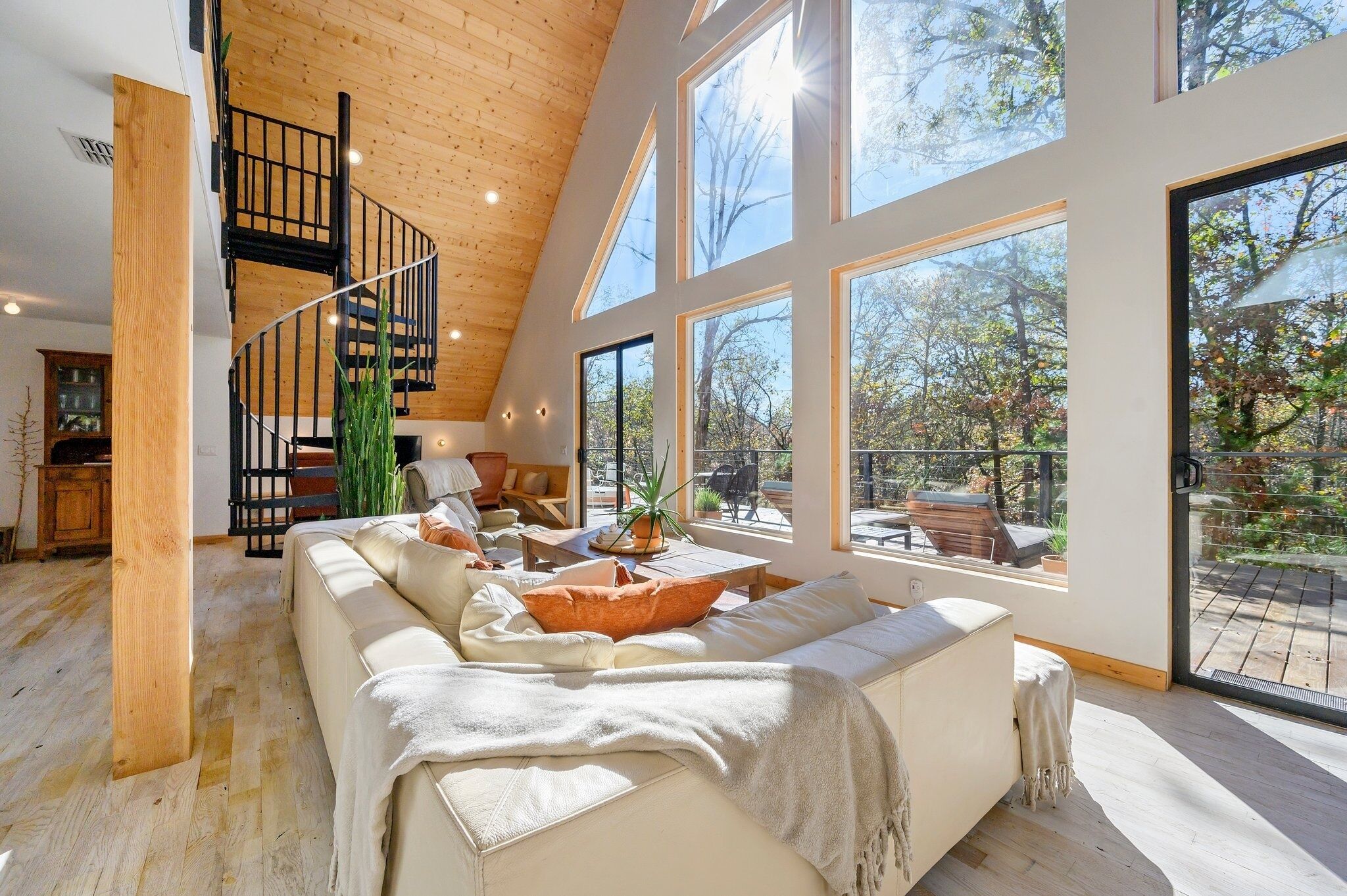 TV, caminetto, videogiochi, lettore DVD