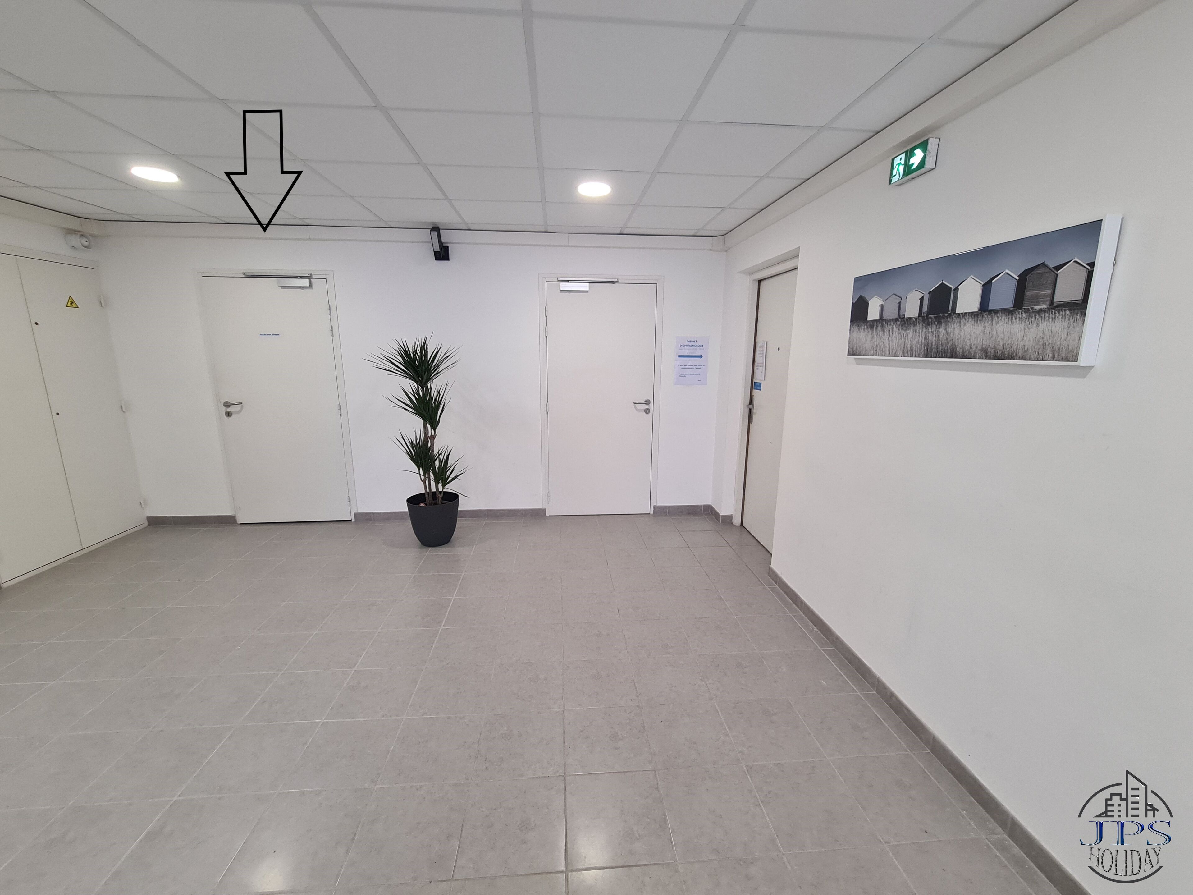 Een gang met witte muren, een kamerplant en deuren.