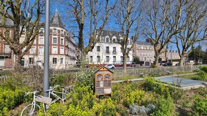 A row of traditional European-style buildings with a central garden area featuring a wooden birdhouse and a bicycle.