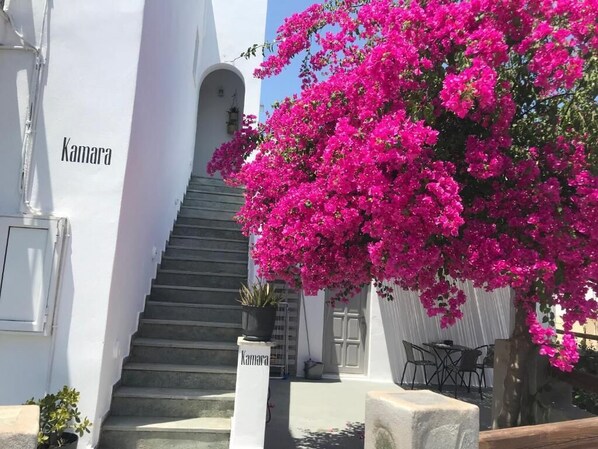 Exterior - Kamara rooms in Naousa (Paros)