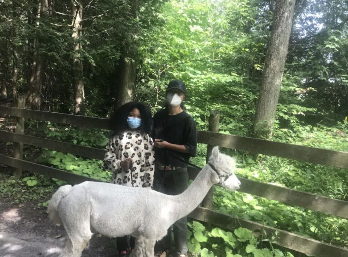 Un puente de madera en un área boscosa con dos personas sobre él.