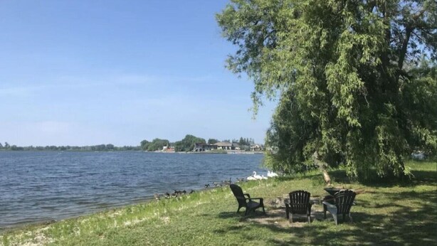 Une vue sur le lac, avec une rangée de chaises et une table placées sous un grand arbre, d’où l’on peut admirer le paysage.