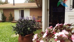 A house with a brick exterior, a tiled roof, and a front door. There is a potted plant with purple flowers in the foreground. - Beautiful single-story house, super cozy: 3 suites. (Monte Verde)