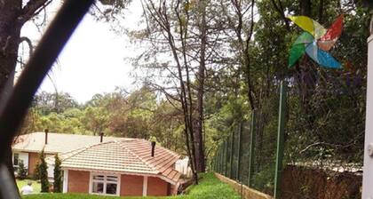 BEAUTIFUL AND SUPER FRIENDLY HOUSE: 3 Suites