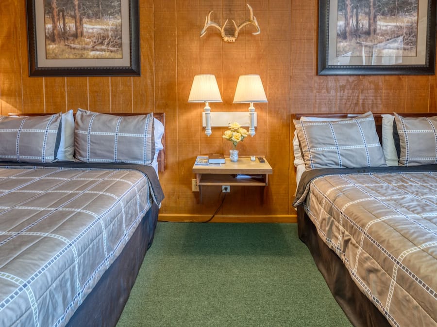 Desk, blackout curtains, soundproofing, iron/ironing board