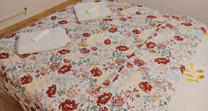 Wow Apartment in the city center