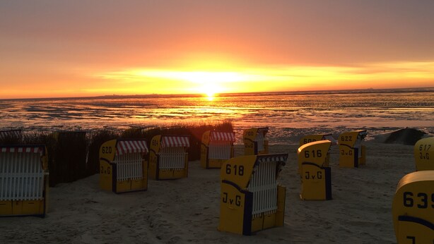 Uma praia com fileiras de cadeiras de praia amarelas numeradas, voltadas para o pôr do sol.