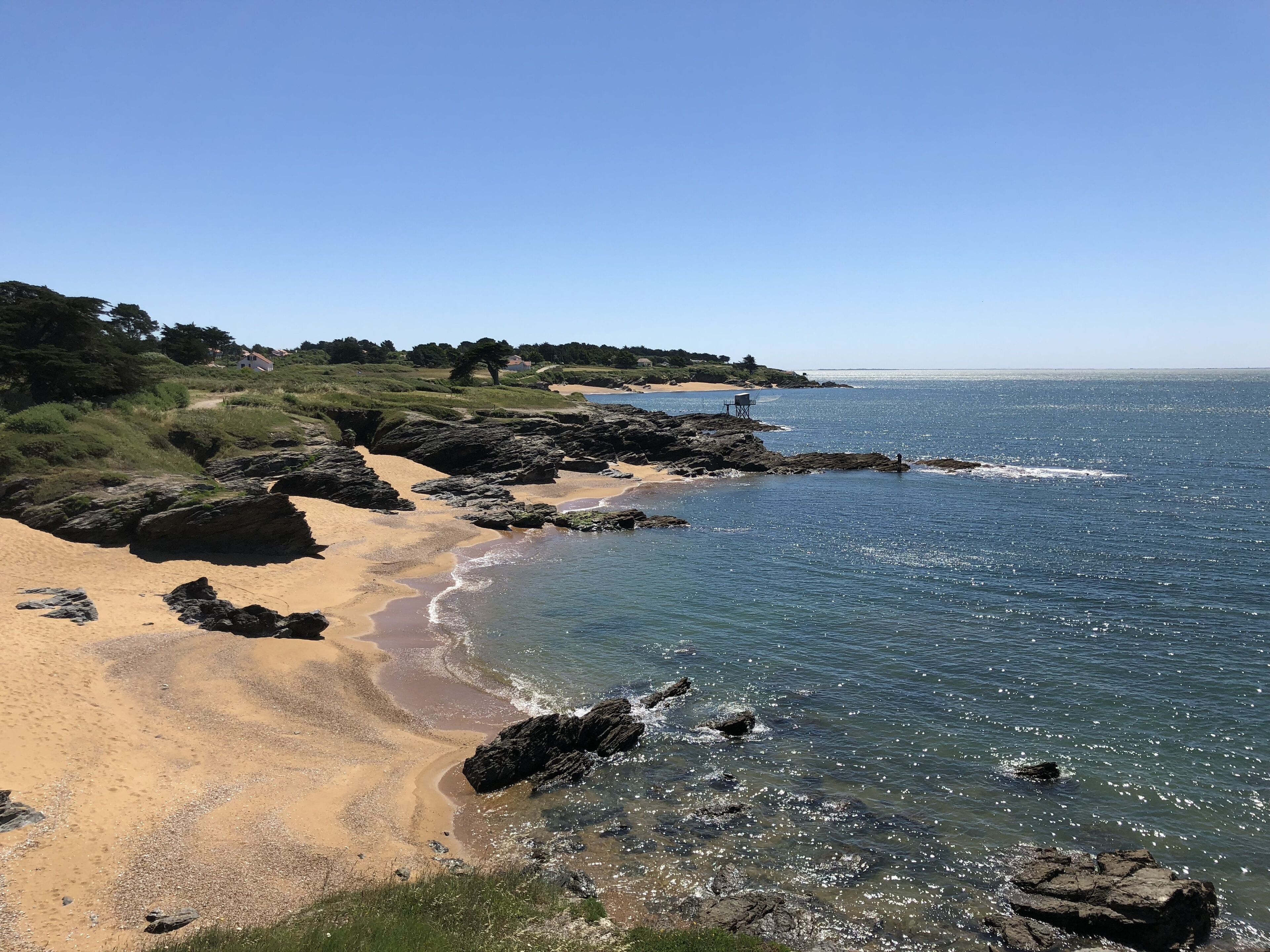 Strand