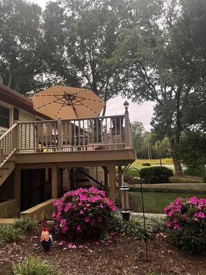 Property grounds - Grandma's House: Experience tranquility near Jordan Lake. (Moncure)