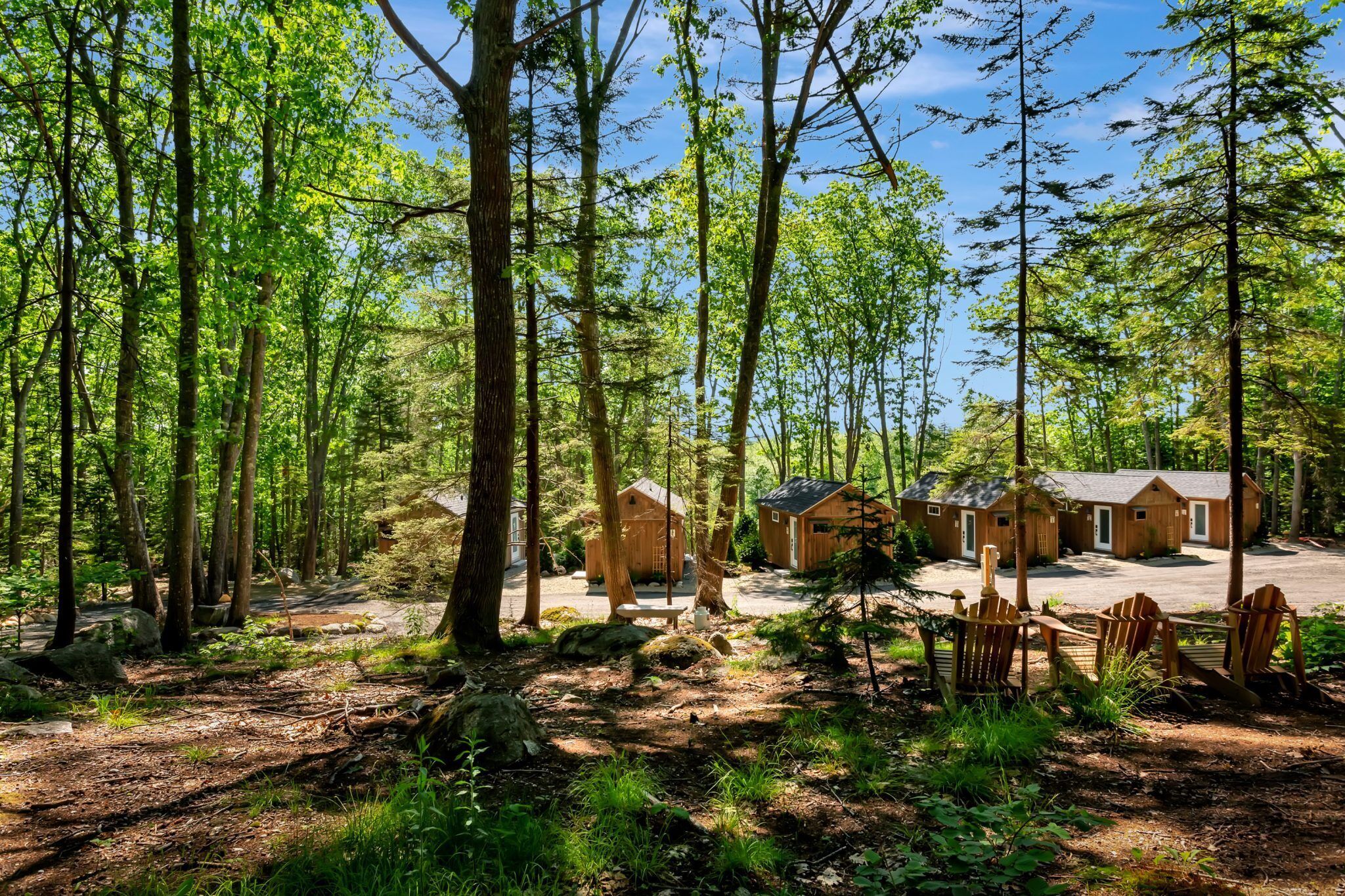 Une zone boisée comprenant plusieurs cabanes en bois.