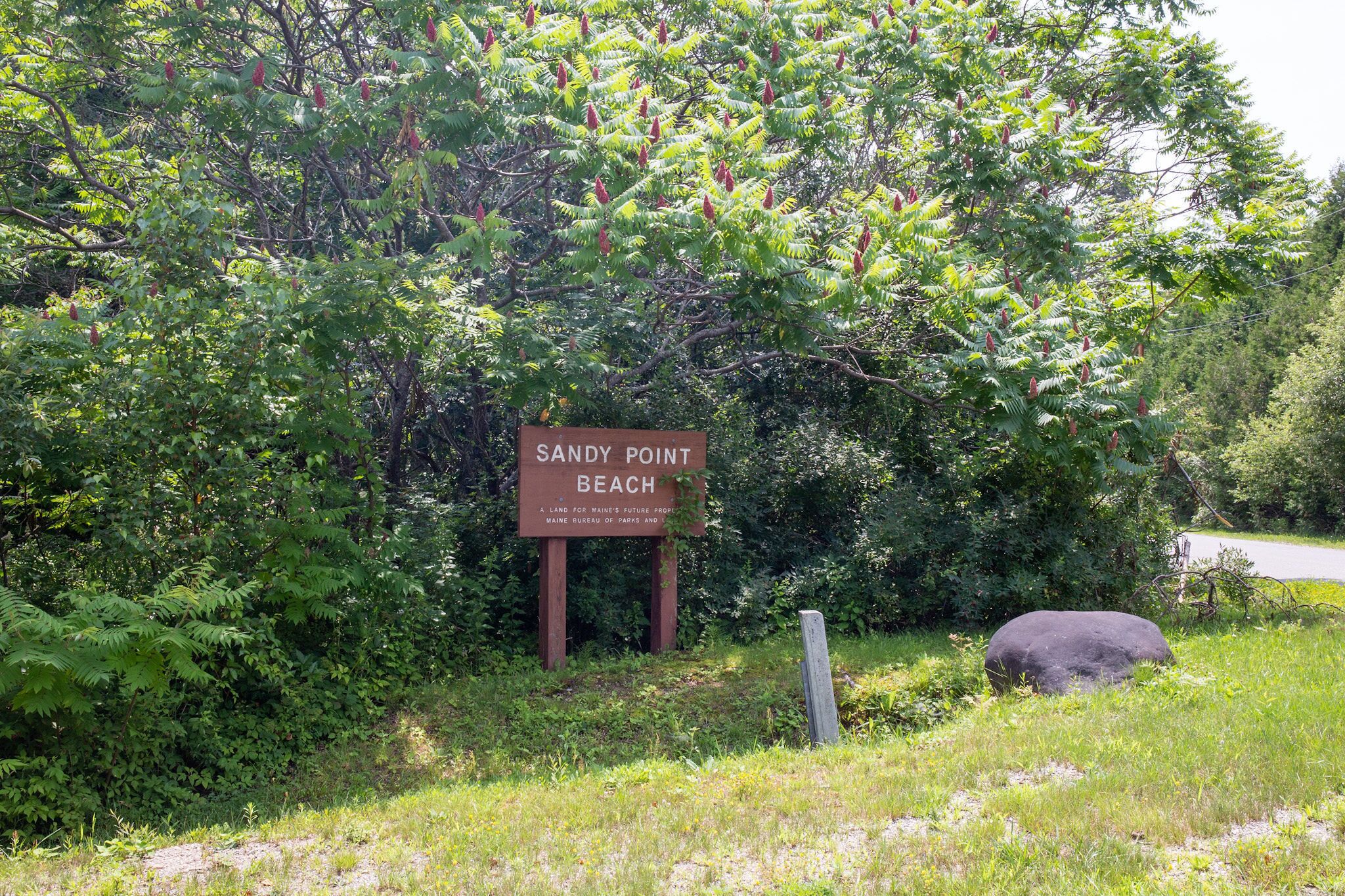 A sign for Sandy Point Beach, surrounded by dense foliage and a large rock.