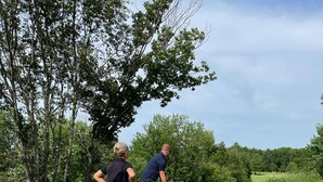 A grassy area with trees and a clear sky. - Rural Somerset Get-A-Way (New Richmond)
