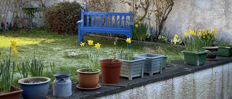 Àrea exterior de l'allotjament