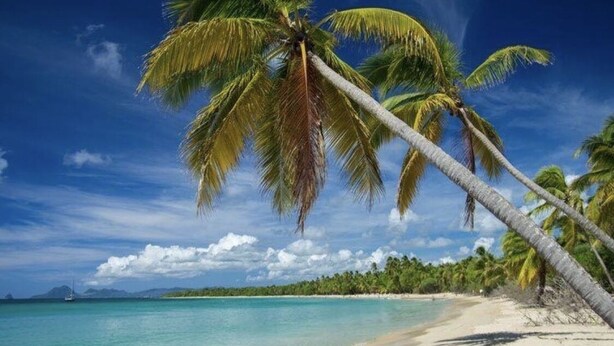 Une plage bordée de palmiers et aux eaux d’un bleu cristallin.