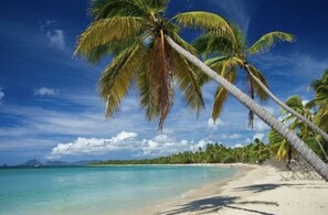 A beach with palm trees and clear blue water. - Résidence Plage des Salines (Sainte-Anne)