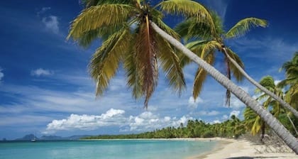 Résidence Plage des Salines