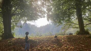 Terrein van de accommodatie