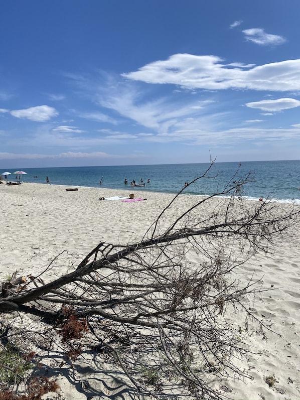 Plage à proximité