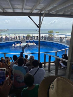 Imagen sin descripción, 2 de 27, botón