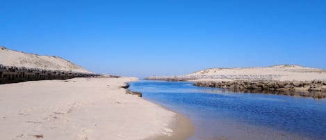 Ligstoelen aan het strand