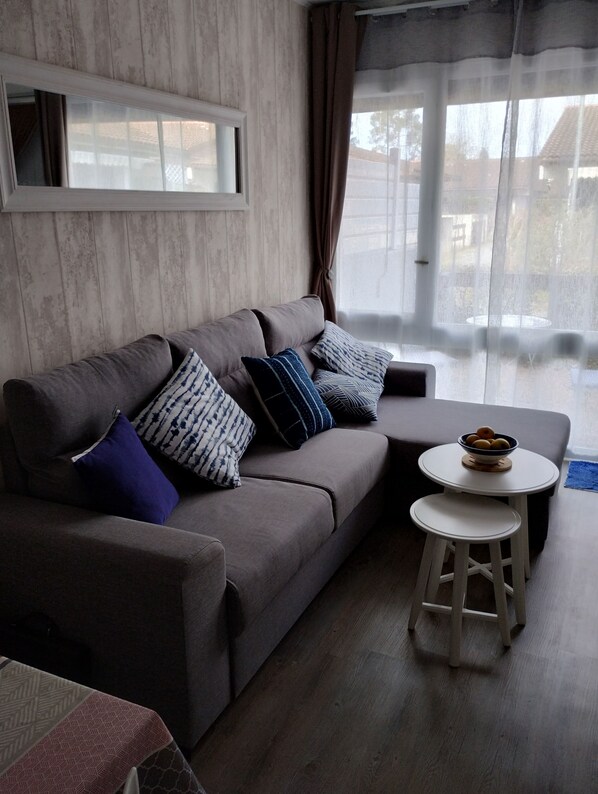 Télévision, table de tennis de table, livres, chaîne hi-fi