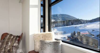 The Penthouse - Mountain View