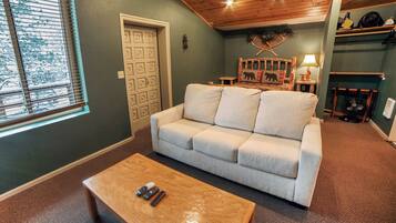 TV, fireplace, DVD player, video library