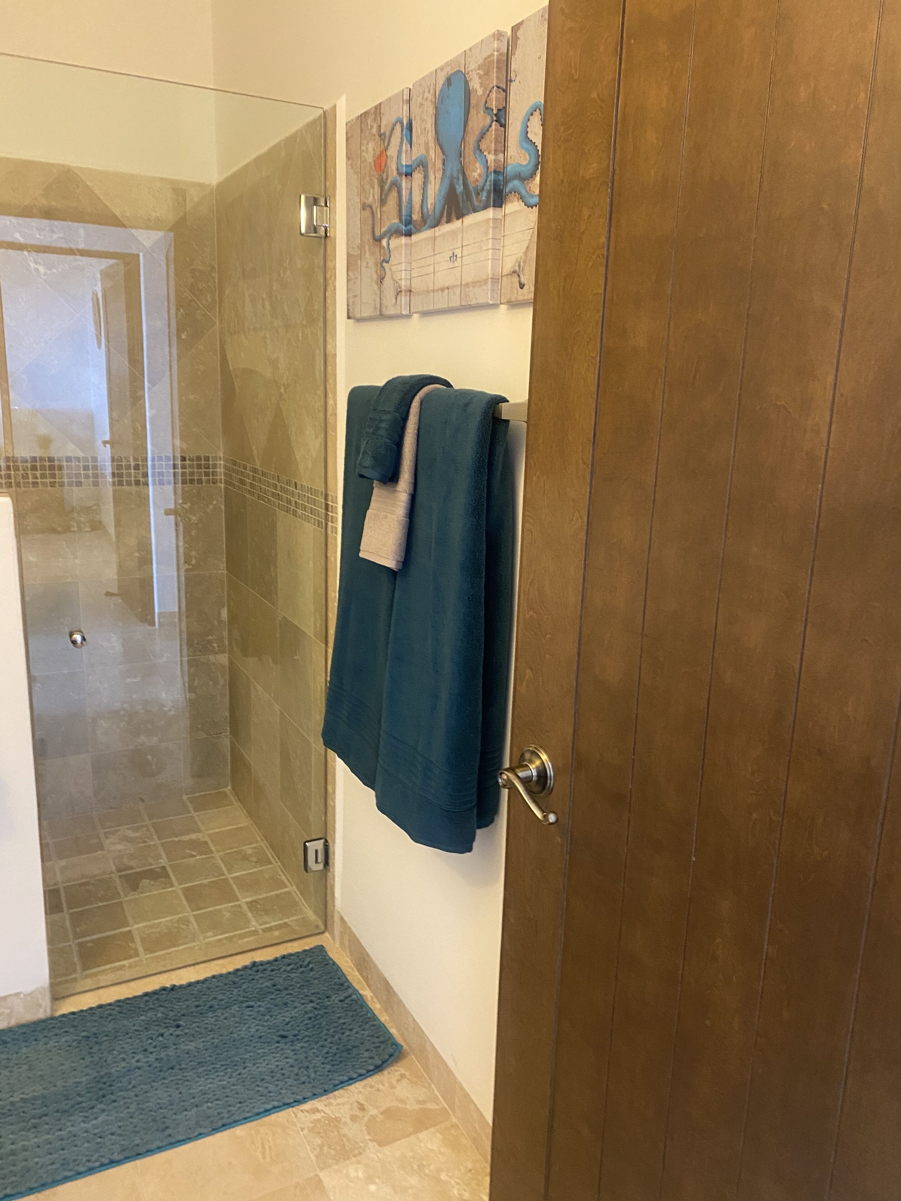 Hall bath with walk in shower