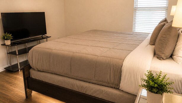 Un dormitorio con cama, televisor sobre un mueble, ventana con persianas y mesita de noche con lámpara y planta.
