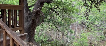 Creekside Cabin near Lost Maples State Park