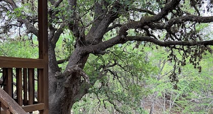 Creekside Cabin near Lost Maples State Park