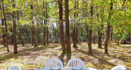 3-bedroom house with pool near the beach