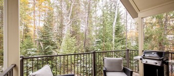 Mp1017 Lion Mountain Hideaway