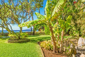 Property grounds - Lahaina Shores unit 528 (Lahaina)