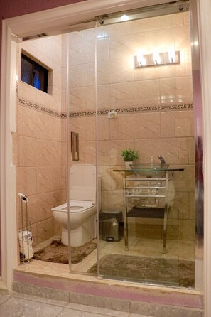 Regadera, toallas, jabón, papel de baño