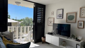 Smart TV, DVD player