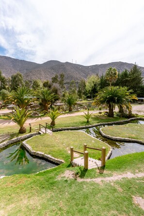 Lake - Vertientes de Elqui (Vicuña)
