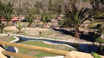 Vista da propriedade