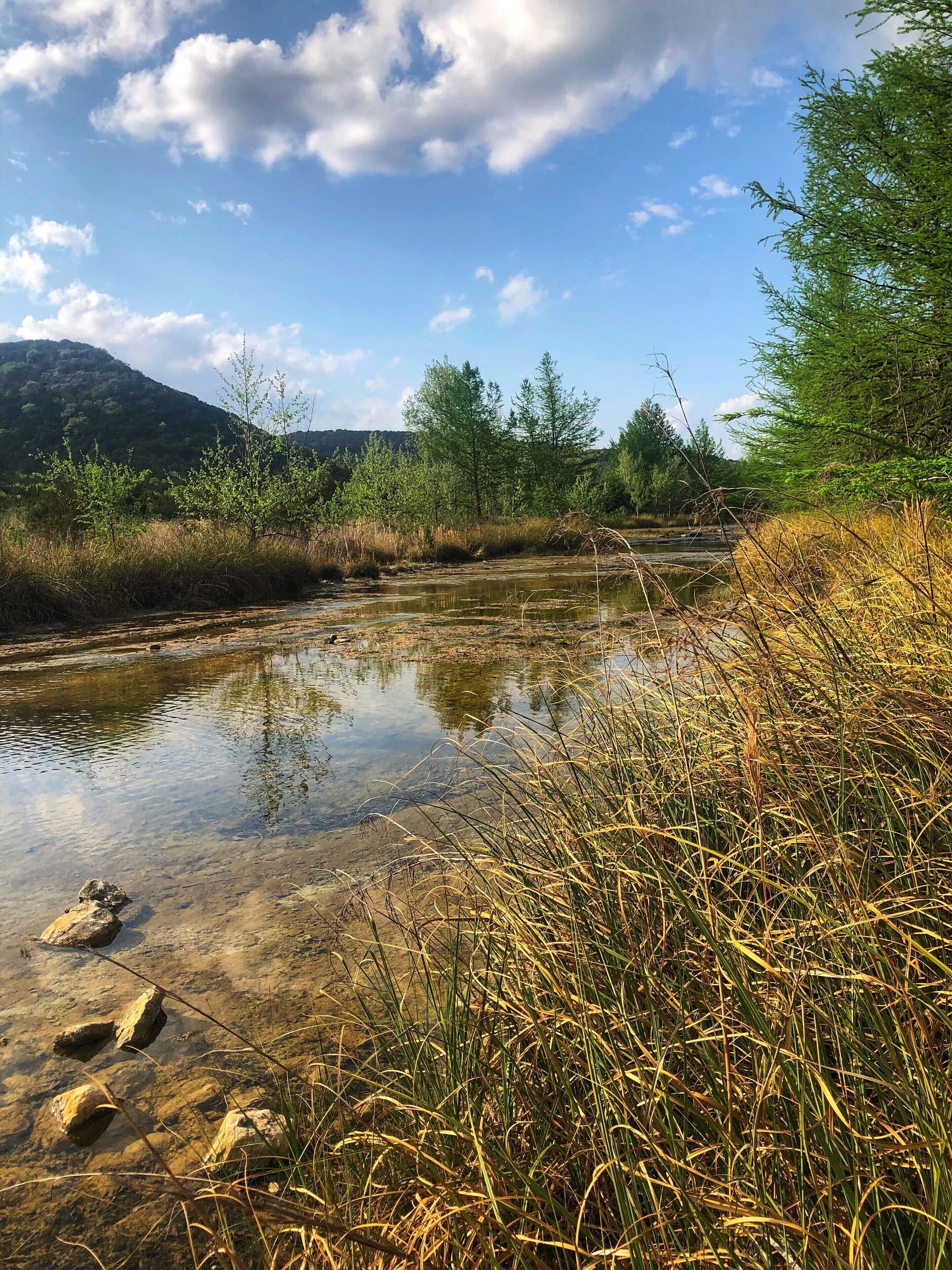 Eine natürliche Landschaft mit einem klaren Bach, umgeben von Vegetation und Hügeln.