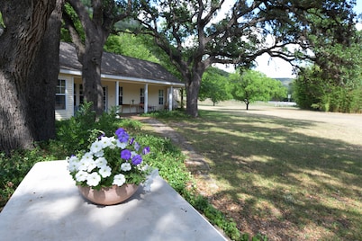 PeachTree Cottage near Lost Maples