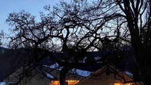 A house with a snow-covered yard, a small shed, and a pathway lit by ground lights. - Lovely Spacious Home In Downtown White Salmon (White Salmon)