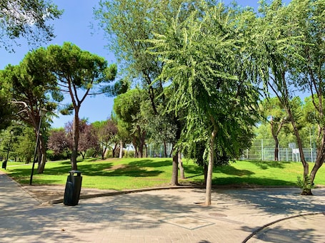 Área de parrillas y picnic