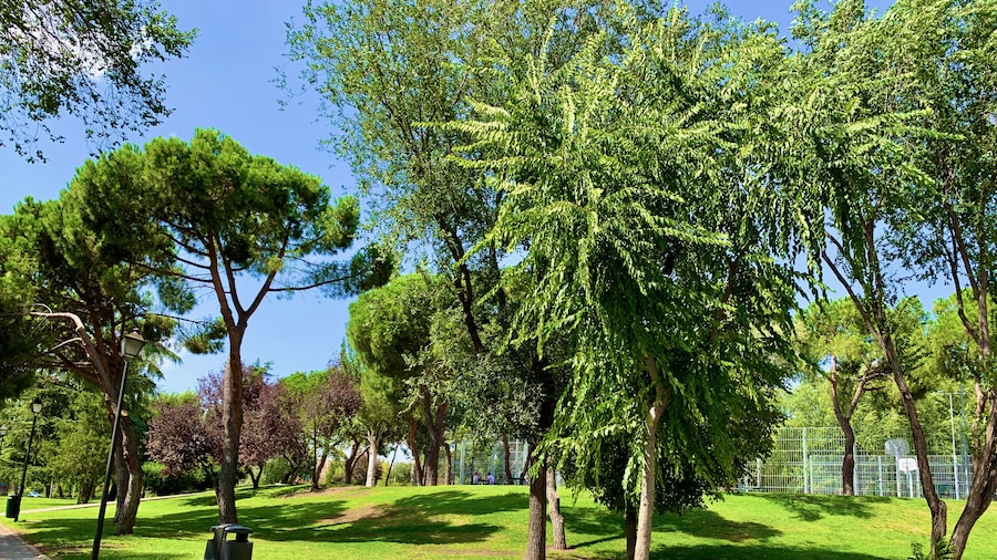 La Perla de Lujo - Hostel