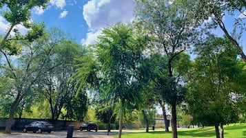 Dormitori compartit bàsic, dormitori mixt (1 bed in a 9 or 12-Bed Dormitory Room) | Vista des de l'habitació