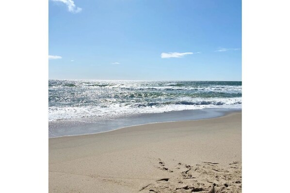 Beach nearby - Authentic Nantucket Experience at Sunny Daze! (Nantucket)
