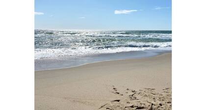 Authentic Nantucket Experience at Sunny Daze!