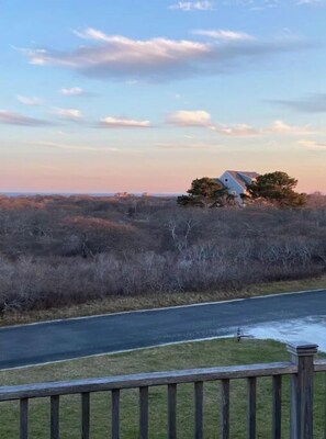 Property grounds - Authentic Nantucket Experience at Sunny Daze! (Nantucket)